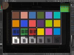 RawTherapee Screenshot 3