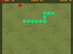 rbnSnakeGame Screenshot 1