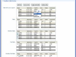 RCPForms Multipage Editor Tables Tab