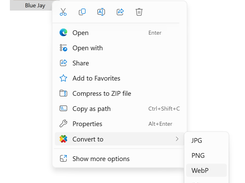Customizable right-click conversion