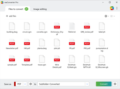 Set conversion options