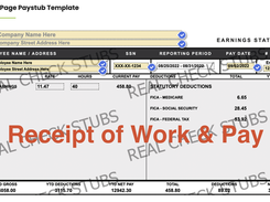Real Check Stubs Screenshot 1