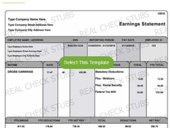 Real Check Stubs Screenshot 2