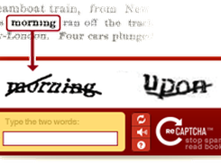 Google Recaptcha screen sample