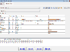 Binary file in single record format