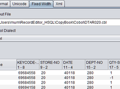 Preview Using Cobol Copybook (requires the cb2xml.jar be downloaded)