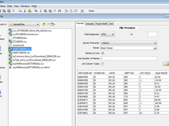 Csv File Preview