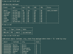 SRDB Screenshot 1