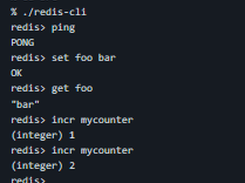 Redis Screenshot 1