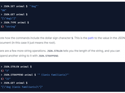 RedisJSON Screenshot 1