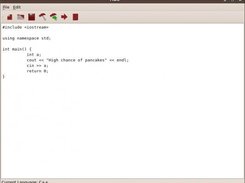 An example of code.