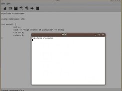 The current hack for running the program: An xterm window!