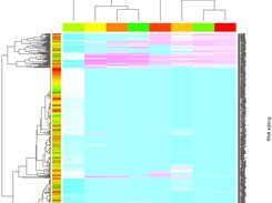 The cluster of RNA editing sites in coconut cp based on 8 RNA-seq data according to the RNA editing proportions.