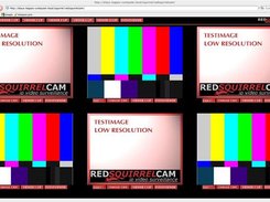 Red Squirrel Cam  6 Camera Multi Viewer