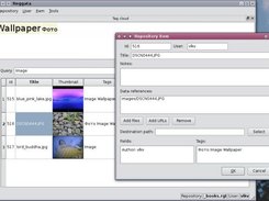 Editing one repository item