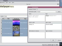 Editing group of repository items (bulk edit)