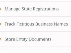 Registered Agent Solutions Screenshot 2
