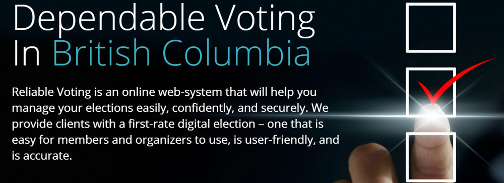 Reliable Voting Screenshot 1