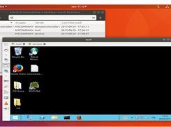 Remmina Screenshot 1