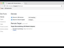 RemoteDebug iOS WebKit Adapter Screenshot 1