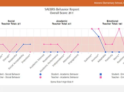 Renaissance SAEBRS Screenshot 2
