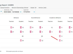 Renaissance SAEBRS Screenshot 3