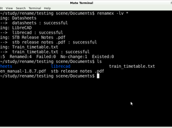 rename extension in command line