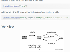 renv Screenshot 1