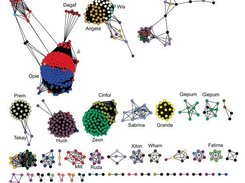 Clustering of Full Length LTR Retrotransposons