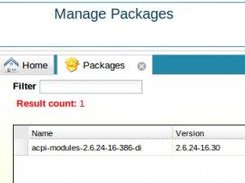 Packages can be locked to a certain version.