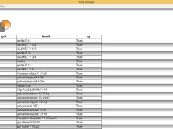 Report Preview