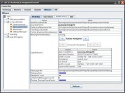 ReportEngine - (MessageHandler) configuration using JConsole