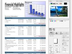 ReportMill Screenshot 1