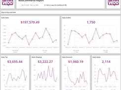 WooCommerce E-Commerce Report | 15+ more KPIs inside the template!