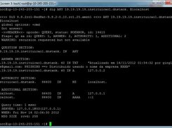 Consulta via DNS