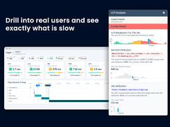 Drill into real users and see exactly what is slow.