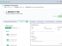 domain list with record edit