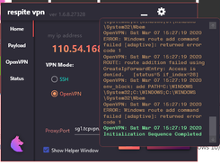 Successful OpenVPN connection