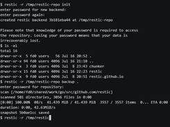 restic demo