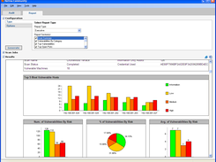 eEye Retina Community Report Screen