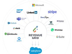 Revenue Grid Screenshot 1