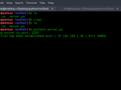 reverse-Shell Screenshot 1