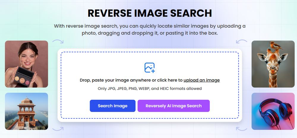 ReverseImageSearch.com Screenshot 1