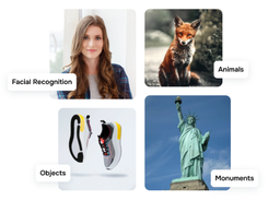 ReverseImageSearch.org Screenshot 1