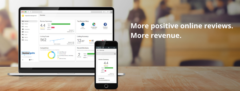 ReviewIgnite Screenshot 1