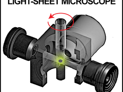 Light-sheet fluorescent microscope