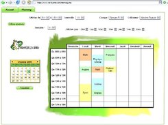display for a standard user