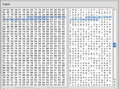 Hexadecimal editor window