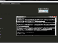 Test your Program along with Runtime 