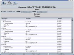 Customer Manager